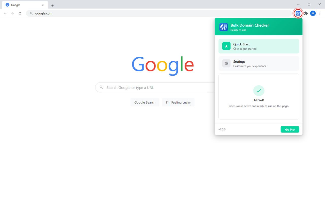 Bulk Domain Checker popup