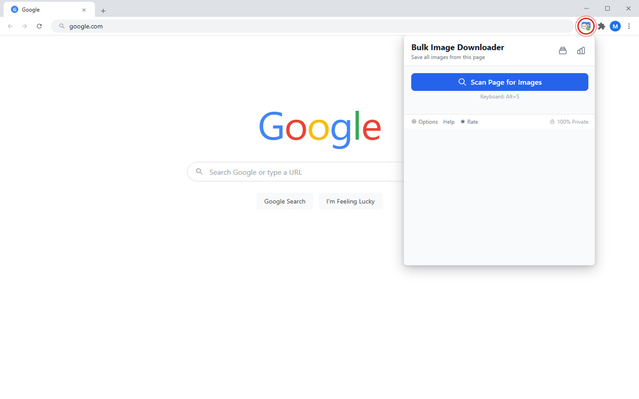 Bulk Image Downloader popup