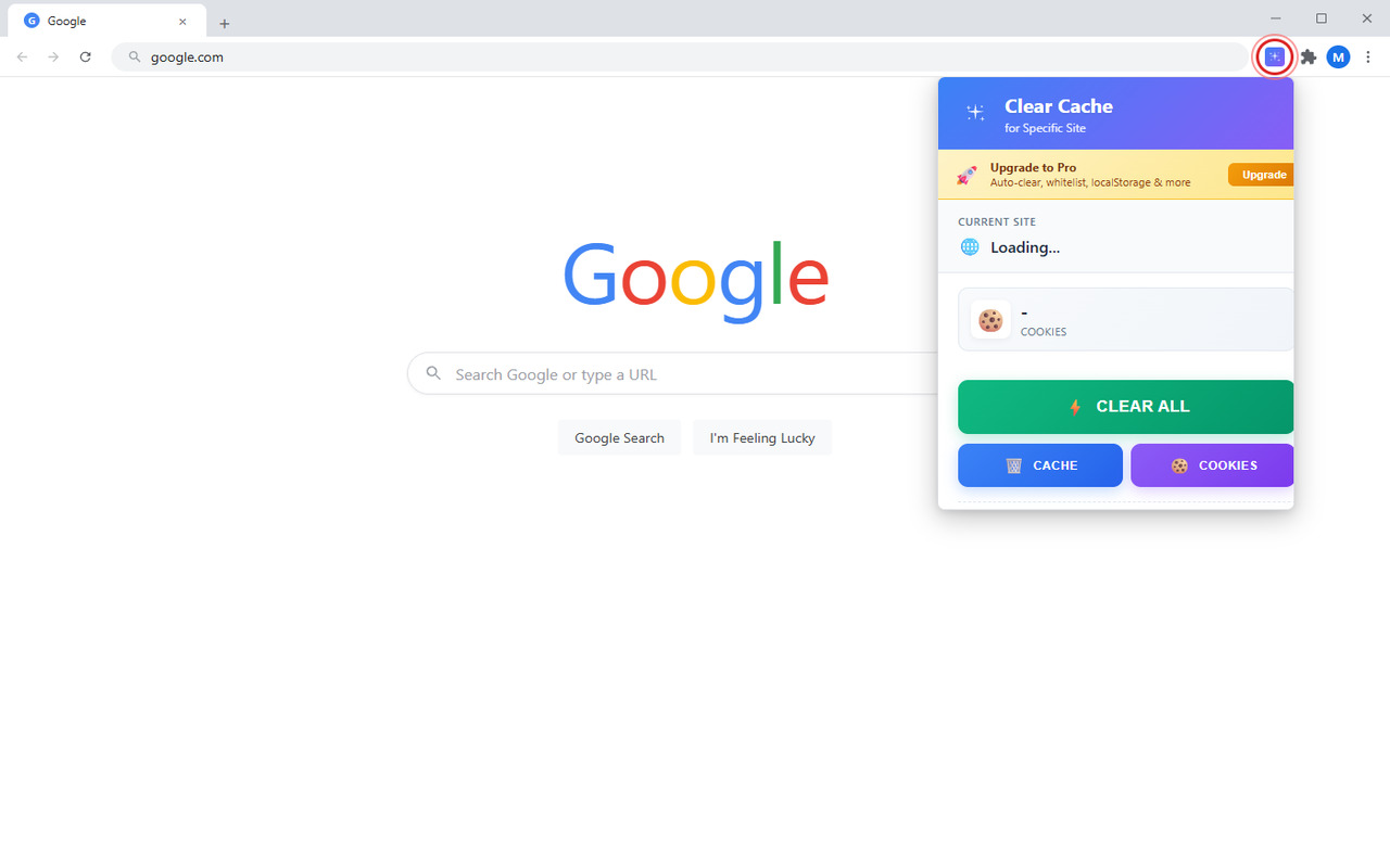 Clear Cache for Specific Site popup