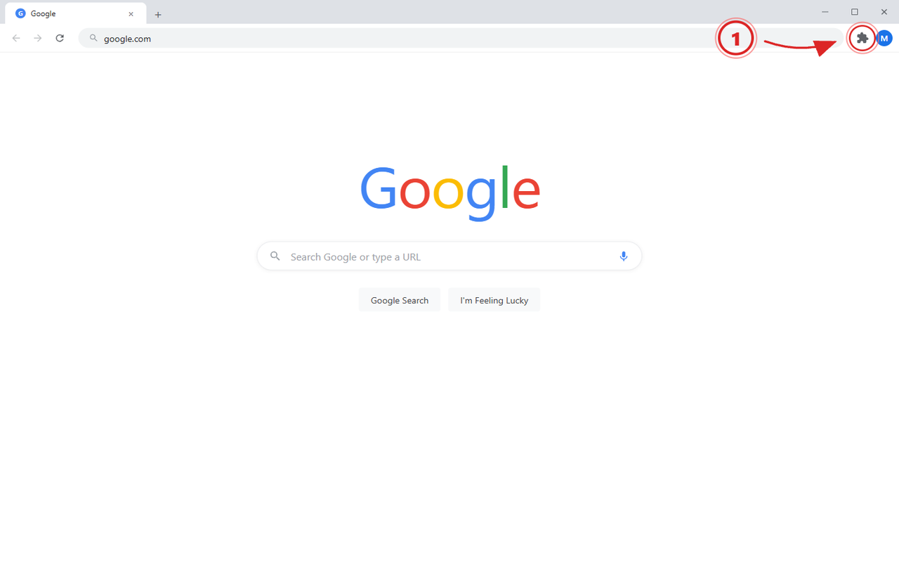 Click the puzzle icon in the Chrome toolbar